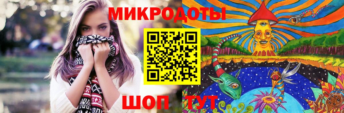 Псилоцибиновые грибы Psilocybine cubensis Курган